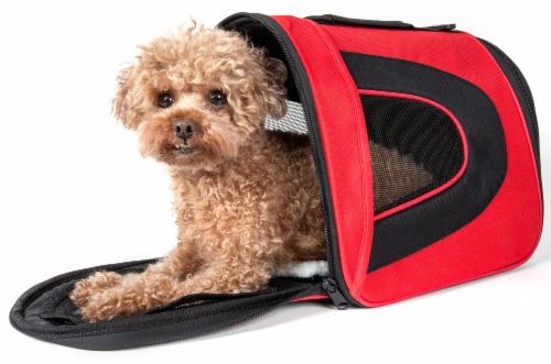 Pet Life Airline Approved Folding Zippered Sporty Mesh Pet Carrier Perspective: front