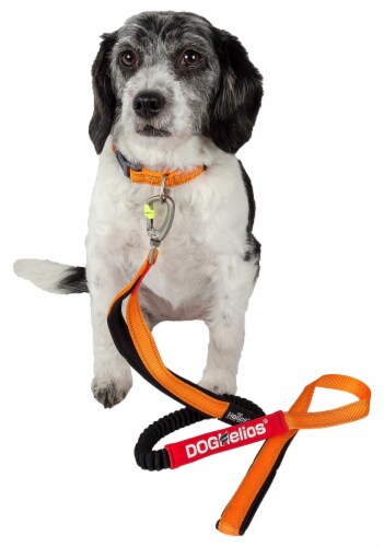 Indestructible leash 2025