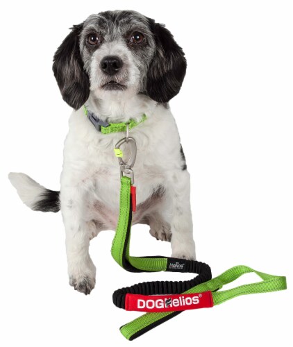 Indestructible collar discount