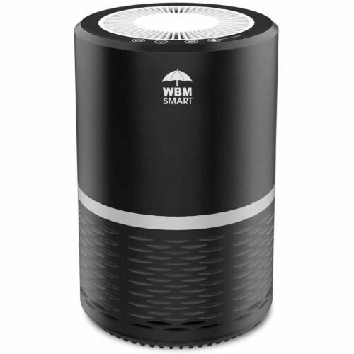 WBM International Air Purifier - Black Perspective: front