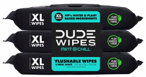 DUDE Wipes® XL Mint Chill Flushable Wipes Perspective: front