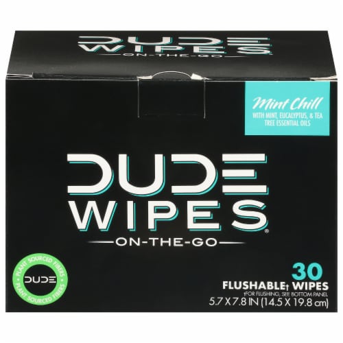 Dude Wipes® Mint Chill Flushable Wipes Perspective: front