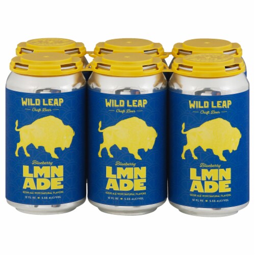 Wild Leap Brew Co. Blueberry Lemonade Sour Ale Beer Perspective: front