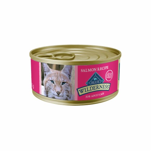 Blue Buffalo Wilderness Salmon Recipe Wet Cat Food Perspective: front