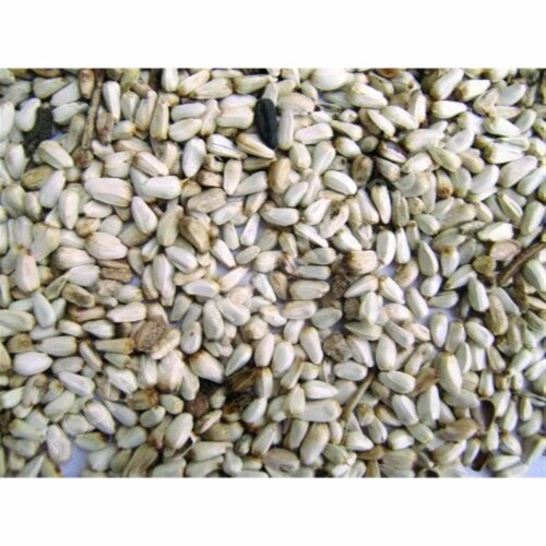 Shafer Seed Company (#281640) Safflower Seed - 25 lb Perspective: front