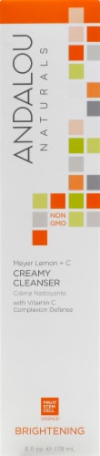 Andalou Naturals Meyer Lemon Creamy Cleanser Perspective: front