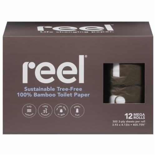  Reel Premium Paper Towels and Toilet Paper Bundle - 12 Recycled  Paper Towels and 24 Rolls of Premium Bamboo Toilet Paper : Health &  Household