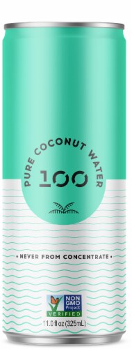 100 Coconuts Pure Coconut Water Single Can Perspective: front