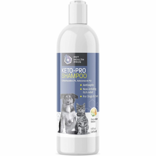 Opiate feminin titel Antiseptic Dog Shampoo for Itchy Skin - Ketoconazole and Chlorhexidine, 16  Fl Oz - Pay Less Super Markets