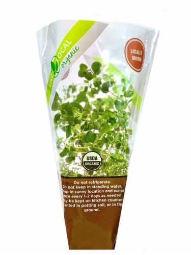 Live Local Organic Sage Living Herbs Perspective: front
