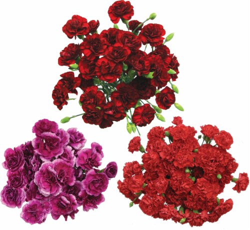 Mini Carnation Bouquet - Assorted Perspective: front