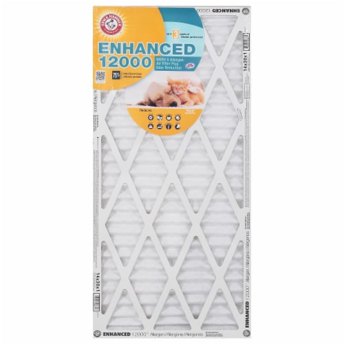 Arm & Hammer™ Enhanced 1200 Allergen Air Filter Perspective: front