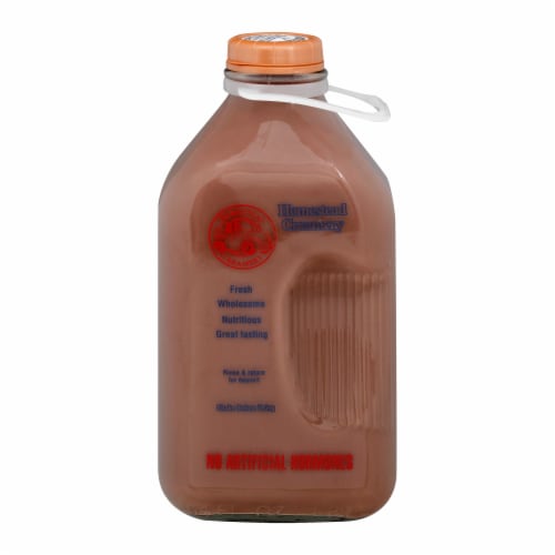 Homestead Creamery Wholesome Nutritious Chocolate Milk Perspective: front