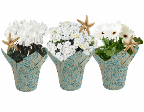 Blooming Flowers w/ Starfish Pick - Assorted Perspective: front