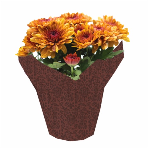 Potted Fall Chrysanthemums Perspective: front