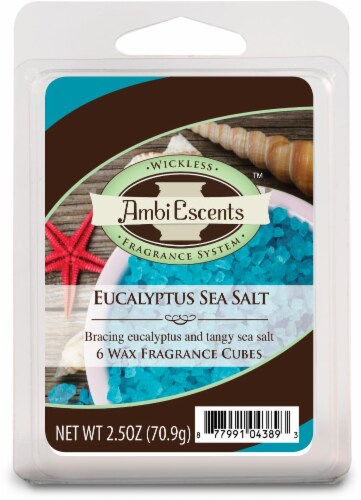 AmbiEscents™ Eucalyptus Sea Salt Wax Fragrance Cubes - 6 Pack Perspective: front