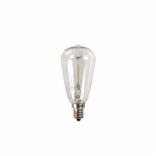 Oak & Rye 40 Watt Edison Light Bulb - Clear Perspective: front
