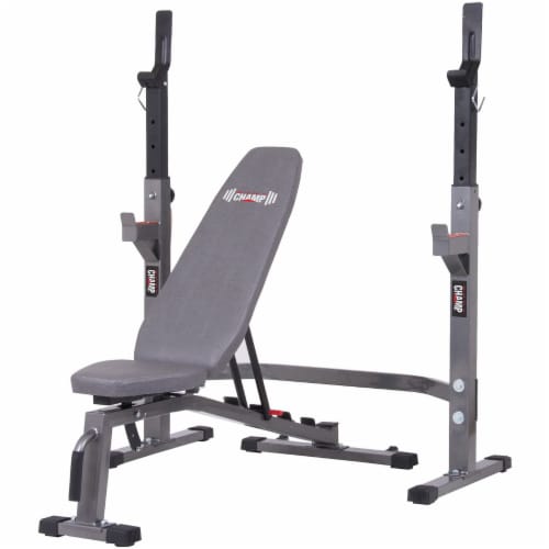 Body Champ PRO3900 Two Piece Set Olympic Weight Bench with Squat Rack Gray 1 Piece Mariano s