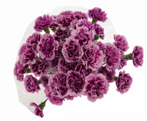 Mini Carnations Bouquet Perspective: front