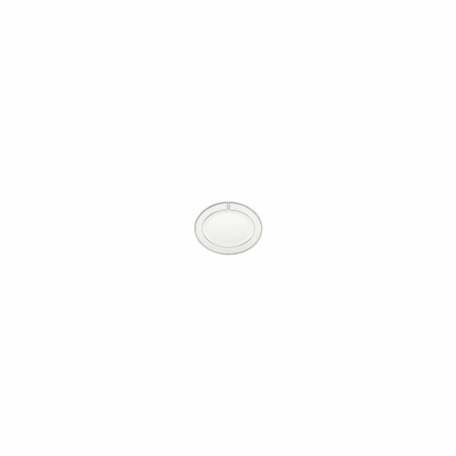 Lenox 13 Federal Platinum Mono Block Dinnerware Platter - A Perspective: front