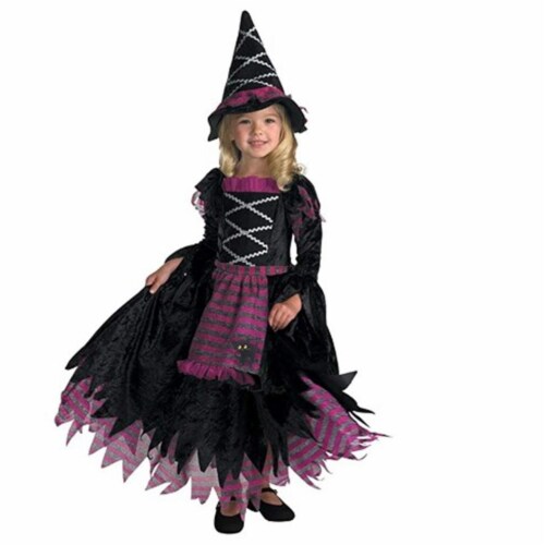 Rubies 279421 Fairytale Witch Child Costume, Small Perspective: front