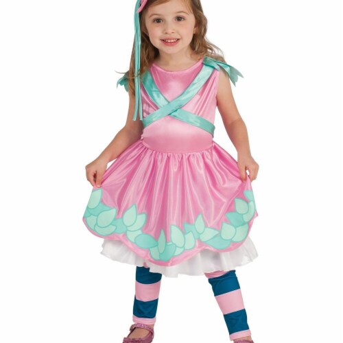 Rubies 247927 Pink Little Charmers Posie Child Costume - Small Perspective: front
