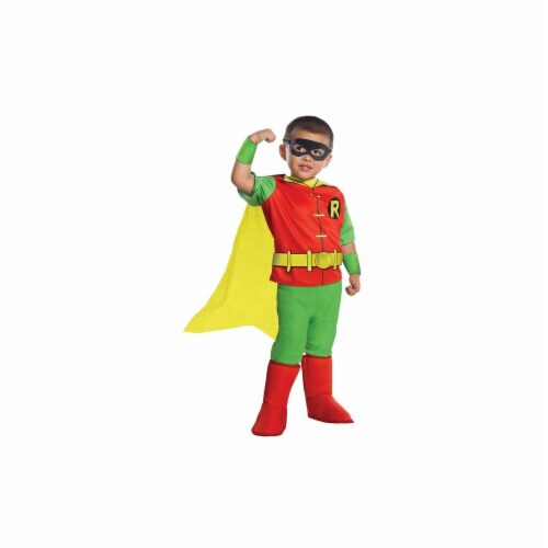 Rubies 249587 DC Comics Robin Deluxe Toddler Costume, Medium Perspective: front