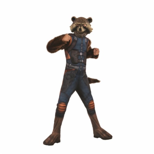 Rubies 404814 Boys Avengers Rocket Raccoon Deluxe Child Costume - Medium Perspective: front