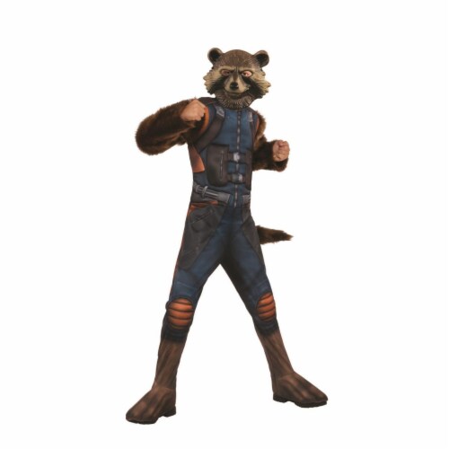 Rubies 404814 Boys Avengers Rocket Raccoon Deluxe Child Costume - Medium Perspective: front