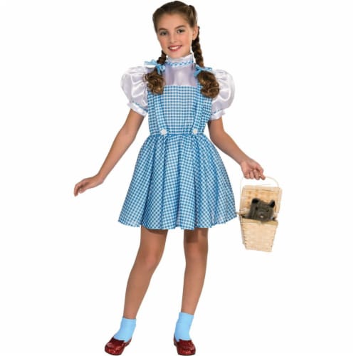 Wizard of Oz Child's Dorothy Costume Perspective: front