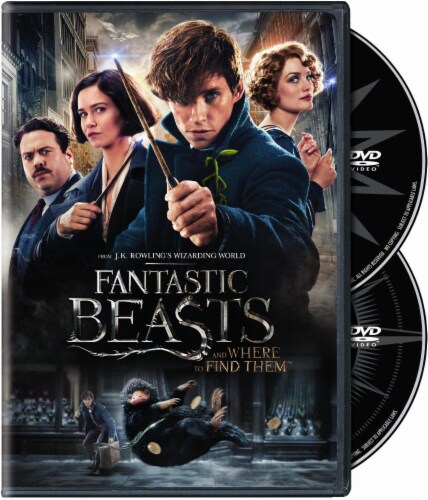 Fantastic Beasts and Where to Find Them (2016 - DVD) Perspective: front