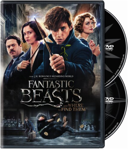 Fantastic Beasts and Where to Find Them (2016 - DVD) Perspective: front