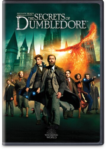 Fantastic Beasts The Secrets of Dumbledore DVD Perspective: front