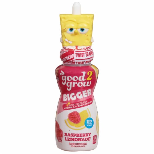 good2grow® Assorted Raspberry Lemonade Flavored Juice Beverage Perspective: front
