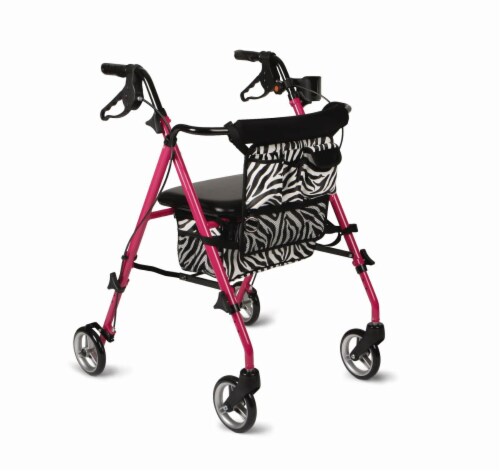 zebra push walker