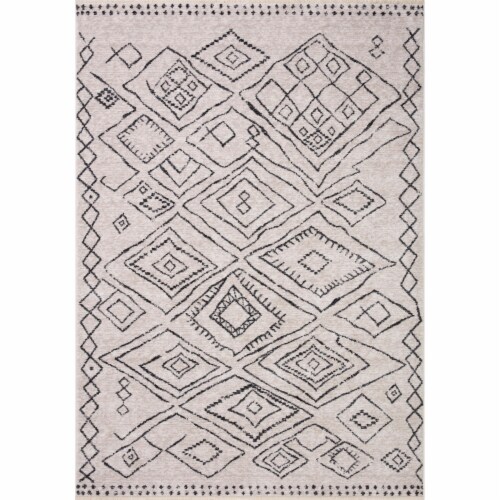 Van-06 Dove, Charcoal 2'-7  X 10'-0  Size Rug Perspective: front
