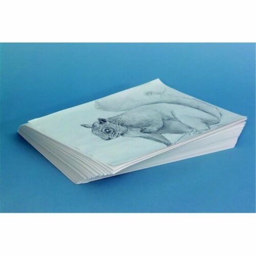 White Newsprint, 30 lb Newsprint Weight, 9 x 12, White, 500/Pack