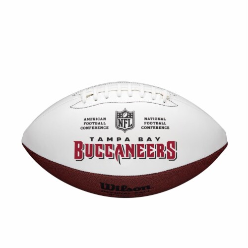 nfl ball cost