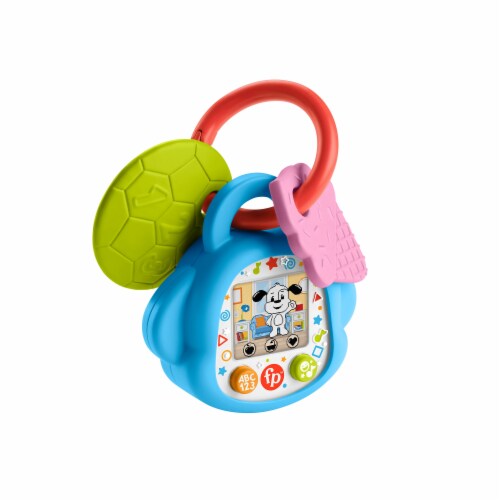 Fisher Price Laugh Learn DigiPuppy Toy 1 ct Harris Teeter