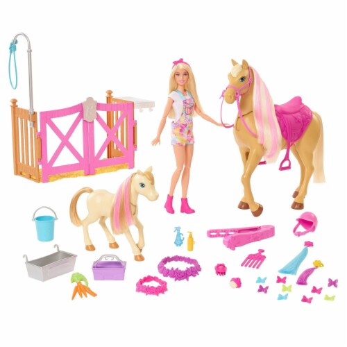 Barbie Groom n Care Playset with Doll 2 Horses 20 Accessories 1 Harris Teeter