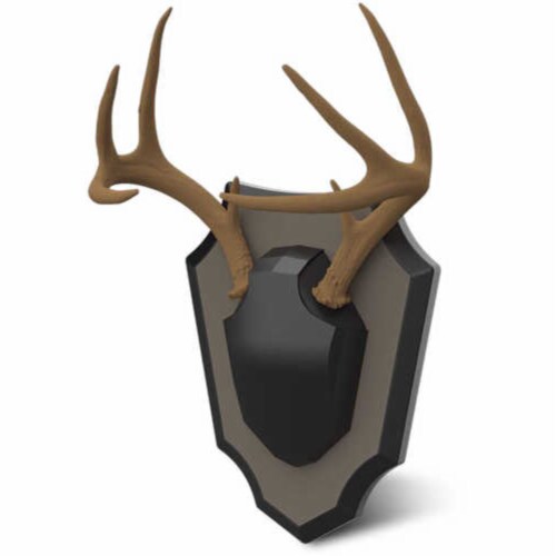 Hunters Specialties HS-BB-SC-ASSY Hunters Specialties Antler Skull Cap Mount Perspective: front