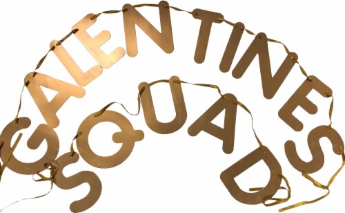 West Coast Novelty Corp. Galentine's Day Galentine's Squad Banner - Gold Perspective: front
