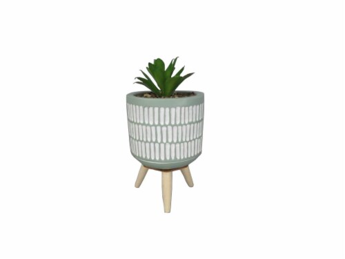 HD Designs Outdoors Cement Potted Succulent - Green Perspective: front