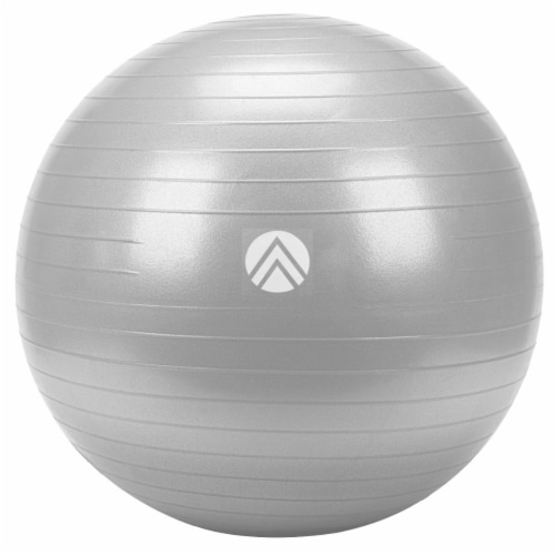 Trajectory Anti-Burst Stability Ball 55cm - Ultimate Gray Perspective: front
