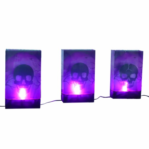 Holiday Home LED PVC Luminary Skulls - Purple Perspective: front