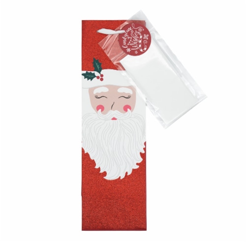 Holiday Home Wine Bag Vintage Santa Perspective: front