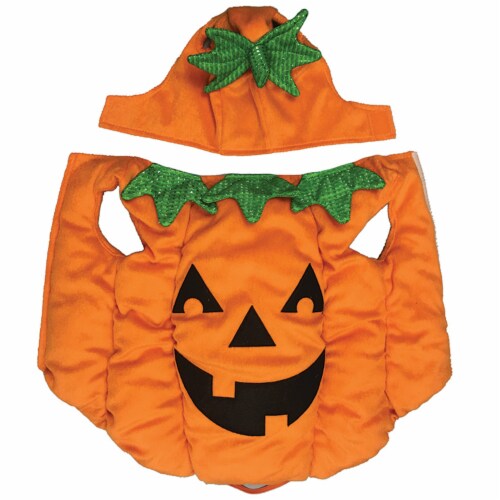 Holiday Home Pumpkin Pet Costume Perspective: front