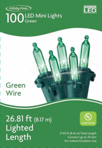 Holiday Home 100 ct White Wire LED Christmas Lights - Blue Perspective: front