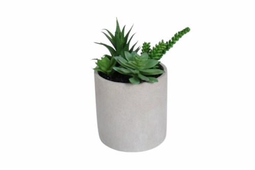 HD Deisigns Faux Succulent Greenery Perspective: front