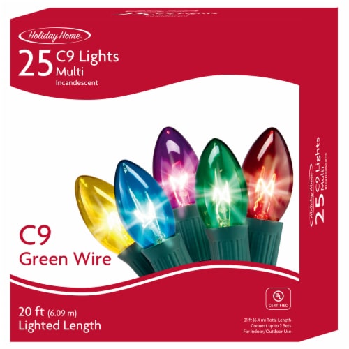 Holiday Home® Green Wire Multi-Colored Christmas Lights Perspective: front
